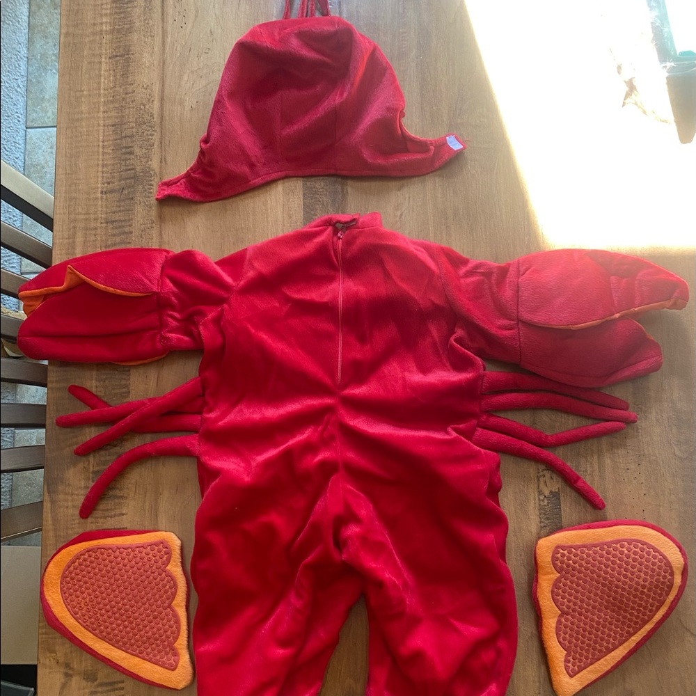 Lil’ Lobster Halloween Costume - Picture 4 of 4